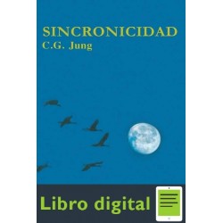 Sincronicidad Carl Gustav Jung