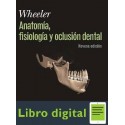 Anatomia Fisiologia Y Oclusion Dental Wheeler 9 edicion