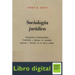 Sociologia Juridica Pedro R. David