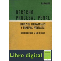 Derecho Procesal Penal. Conceptos Fund