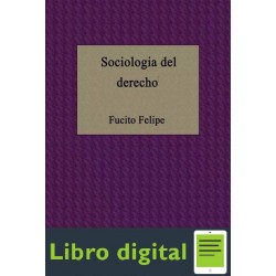 Sociologia Del Derecho Felipe Fucito