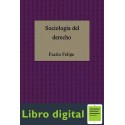 Sociologia Del Derecho Felipe Fucito