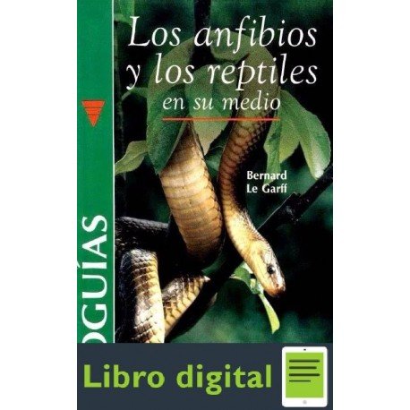 Los Anfibios Y Los Reptiles En Su Medio