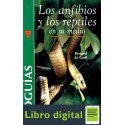 Los Anfibios Y Los Reptiles En Su Medio