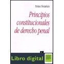 Principios Constitucionales De Derecho Penal Enrique Bacigalupo