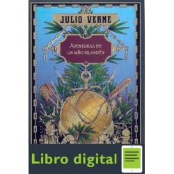 Aventuras De Un Niño Irlandes Julio Verne