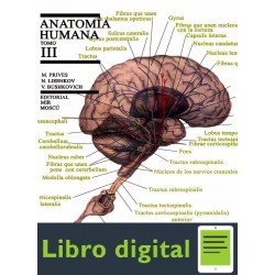 Anatomia Humana, Tomo Ill Angiologia,