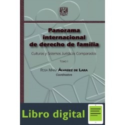 Panorama Internacional De Derecho De Familia