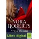 Bruja Oscura Nora Roberts