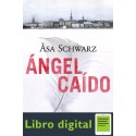 Angel Caido Asa Schwarz