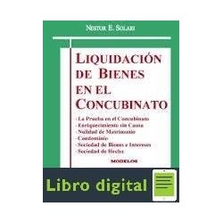 Liquidacion De Bienes En El Concubinato Nestor Solari