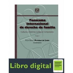 Panorama Internacional De Derecho De Familia Tomo I
