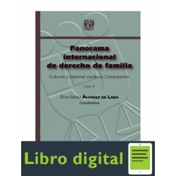 Panorama Internacional De Derecho De Familia Tomo Ii