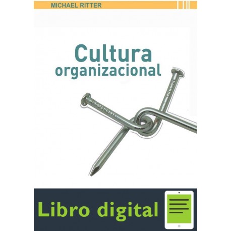 Cultura Organizacional Miguel Ritter
