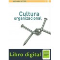Cultura Organizacional Miguel Ritter