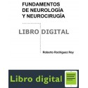 Rodriguez Rey Fundamentos De Neurologia Neurocirugia