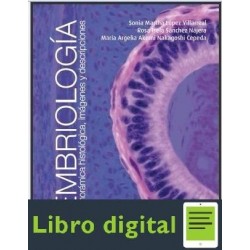 Embriologia Panoramica Histologica Imagenes Y Descricpiones Sonia Martha López Villarreal