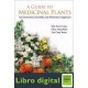 A Guide To Medicinal Plants An Illustrated
