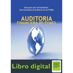 Auditoria Financiera De Pymes Guia