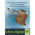 Desarrollo Neuropsicológico de Lóbulos Frontales y Funciones EjecutivasJulio Cesar Flores Lazaro
