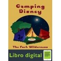 Camping Disney The Fort Wild