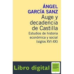 Auge Y Decadencia De Castilla Angel Garcia Sanz