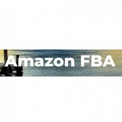 Curso Amazon FBA – Bessi Arteaga