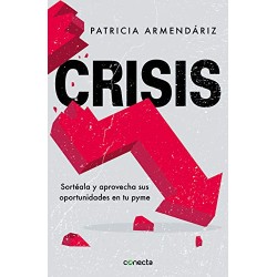 Crisis: Sortéala y aprovecha sus oportunidades en tu pyme Patricia Armendáriz